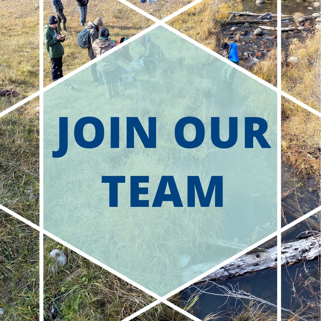 LakeAmbassadors's tweet photo. We're hiring! Interested in supporting #waterstewardship on #LakeWindermere? Learn more about this exciting opportunity👇
https://t.co/VsPGvj0QKK https://t.co/H0j2myvzo2