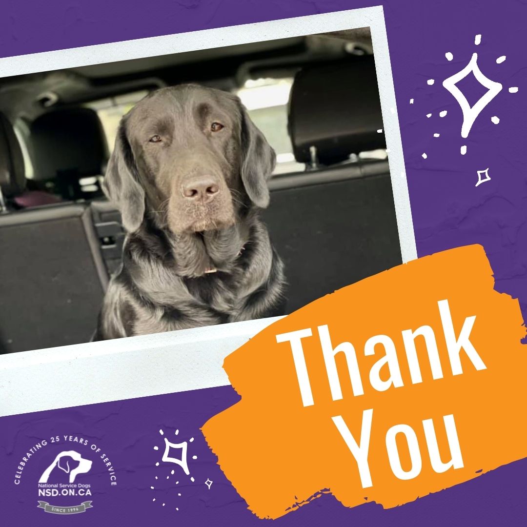 #FridayFeature Sue C. is an amazing volunteer! She is very dedicated to the driving program and the dogs she transports. Sue has helped fill shifts countless times and is always there when we need her. Thank you Sue for everything you do for NSD!