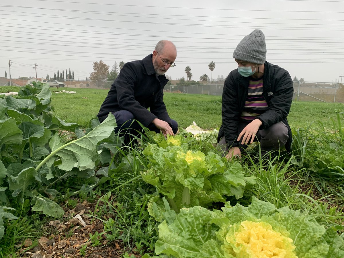 John Muir Land Trust tweet media