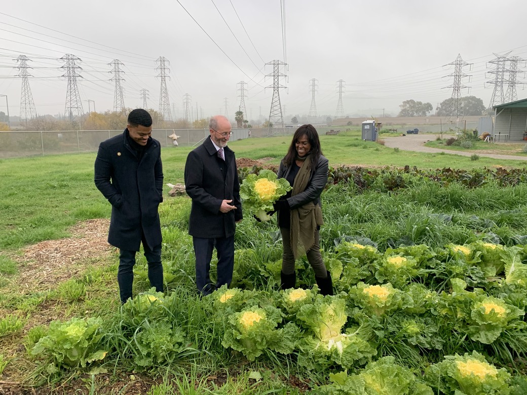 John Muir Land Trust tweet media