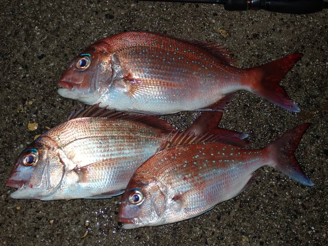 Kuri Kurix27 Twitter Kuri Kurix27 Twitter