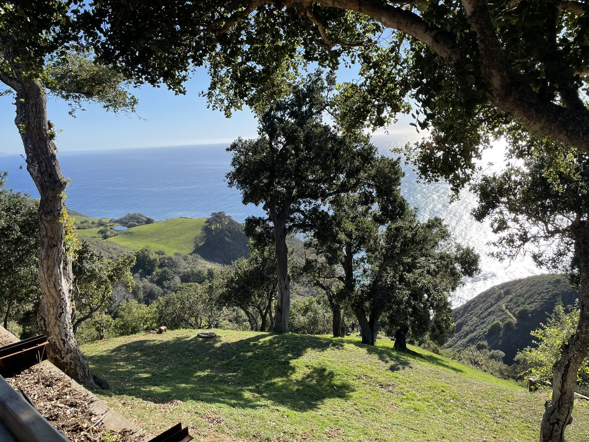 JoeLoo85614818's tweet photo. Big Sur for lunch before heading to Asilomar @asmsnews #ASMSAsilomar https://t.co/hOLbqmuhCL