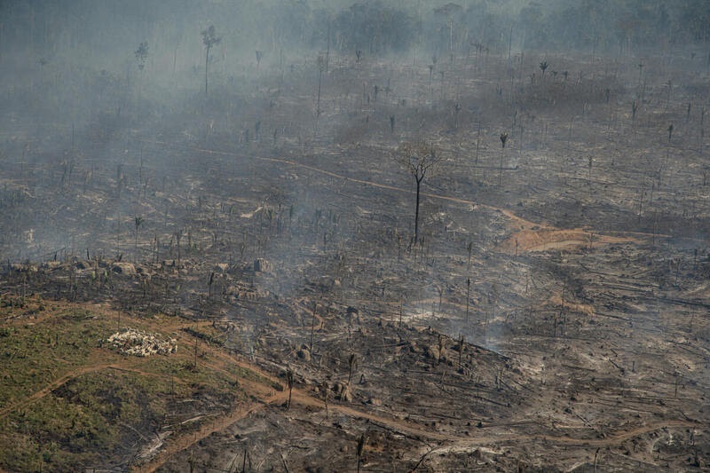 CicloVivo's tweet photo. #Deter alerta para 249 km² #devastados na #Amazônia em #novembro - #Pará #MatoGrossoDoSul e #Acre lideram os índices de #destruição.
https://t.co/CRb49OEXYj https://t.co/OID9KcPNLe