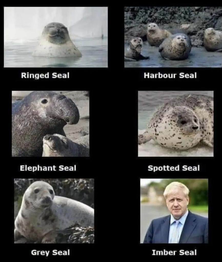 <a href="/HackneyAbbott/">Diane Abbott</a> <a href="/BorisJohnson/">Boris Johnson</a>