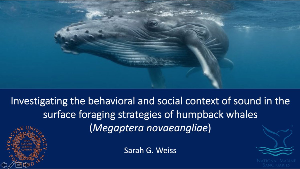SarahGWeiss1's tweet photo. What a perfect day to become a Master 🎓🐳
@SUBiology @ProfParksSU @ParksLabSU https://t.co/tDIAS1pMz4