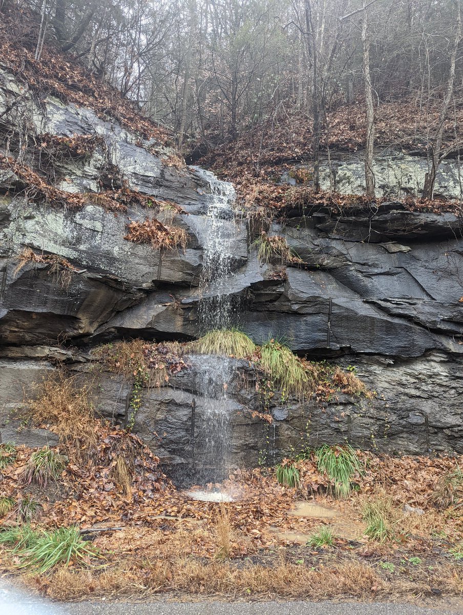 Kristal081670's tweet photo. And with the rain comes the temporary waterfalls.🌧️ There's real beauty here even if the location is inconvenient. Gotta look for it.😉 #WATERFALL #Kentucky #thebluegrassstate #naturesbeauty #NaturePhotography https://t.co/DVlWVELJ42