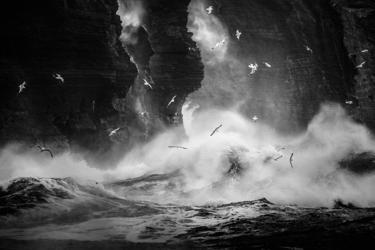The birds really add to the chaos, what a scene! Cliffs of Moher, Storm Barra. (a share would be fab, thanks)