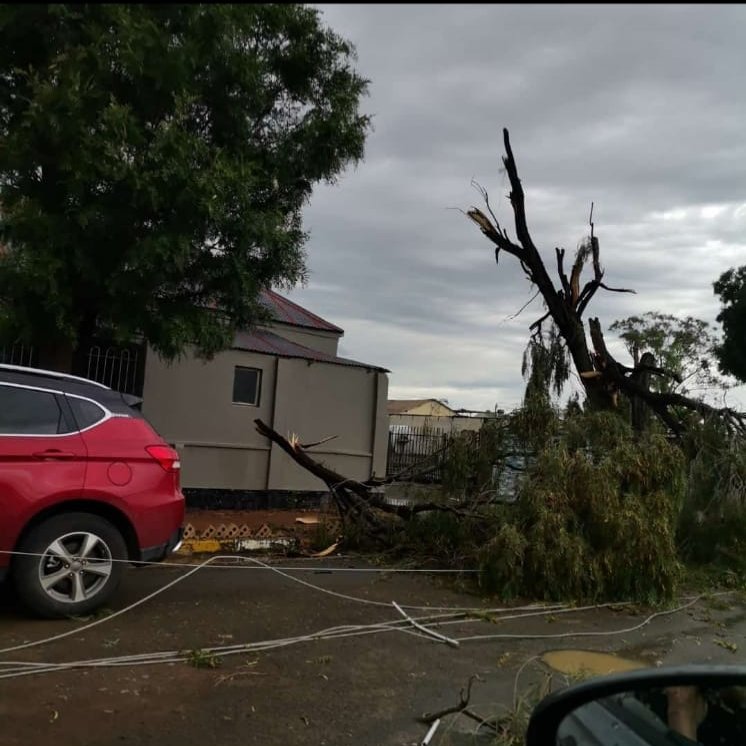 LetsemengDAcllr's tweet photo. Letsemeng Municipality is aware the storm effected mostly Koffiefontein town. The municipality arranged a TLB to remove the trees that make it impossible for traffic to flow. Workers will work throughout weekend to assist to residents that are mostly effected.
#Koffiefontein https://t.co/sba3M4JDYT