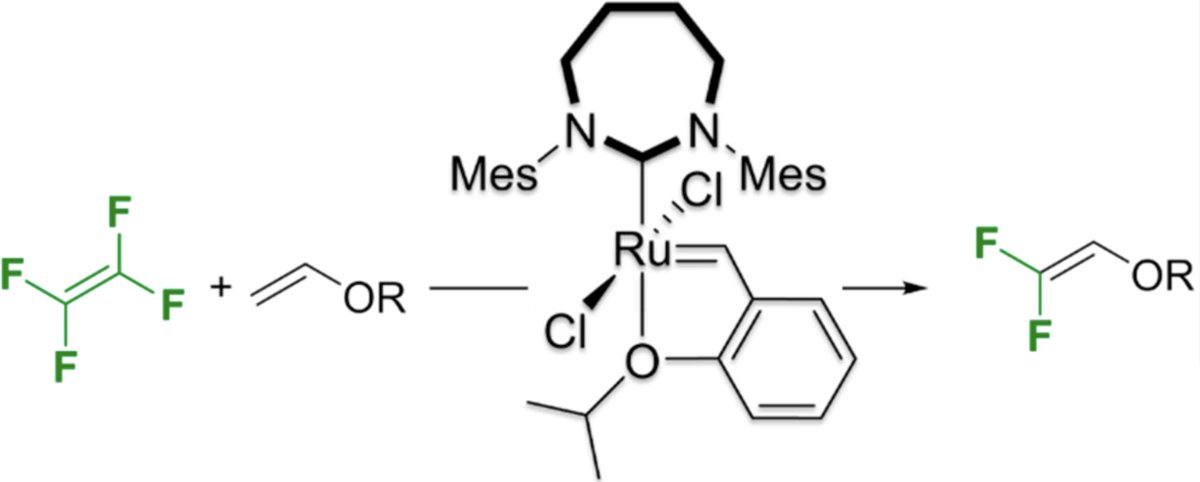 Szostak_Group's tweet photo. #NHCs #NHeterocyclicCarbenes Nozaki group reported #Ru-#NHC catalyzed cross-metathesis of #tetrafluoroethylene & #vinyl #ethers. Ring-expanded #seven-#membered NHC showed higher reactivity than classical NHCs! @Tongliang_Zhou @J_A_C_S
https://t.co/uq8bgUH9kn https://t.co/iwrLEq5No0