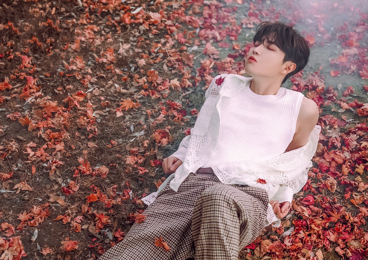 recording_hwan's tweet photo. 🍂

#김재환 #KIMJAEHWAN #THE_LETTER https://t.co/E7gKoipAFJ