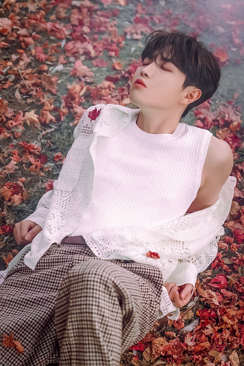recording_hwan's tweet photo. 🍂

#김재환 #KIMJAEHWAN #THE_LETTER https://t.co/E7gKoipAFJ