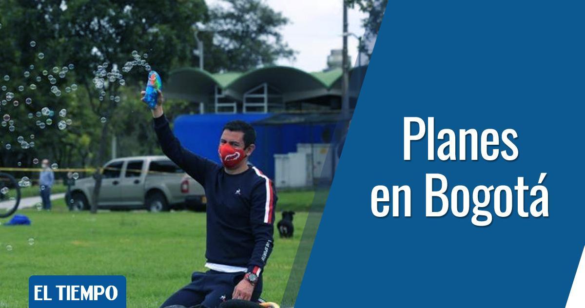 De plan estos son los siete mejores parques para hacer asados y picnic