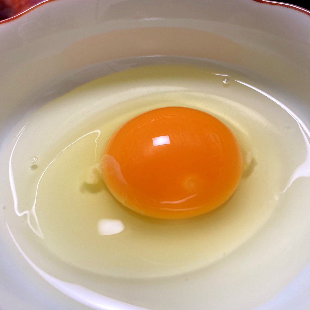 anmitsukumi's tweet photo. しあわせの青い卵🥚アローカナの卵とプリン🍮キター(。>∀<。)💕卵かけご飯とプリンで元気100倍!ROCK FES頑張るよ💪✨
fesページもぜひご覧ください🤗アーティストへのメッセージなど #MLC2 をつけて呟いてね💕お待ちしてま〜す♪
#MusicLoversClub #ROCK
https://t.co/zTnQIU3YKj https://t.co/GRSI1p64fI