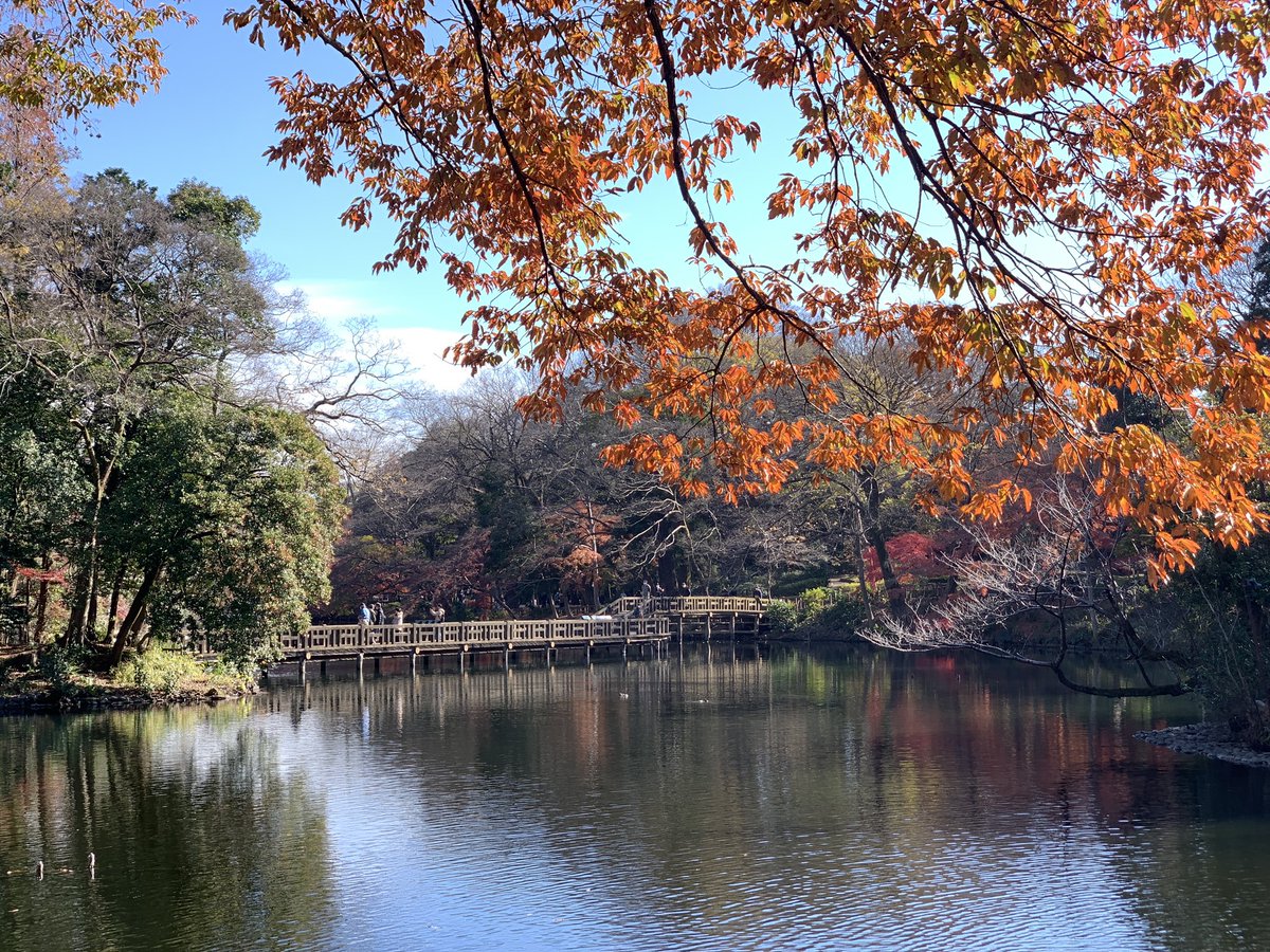 今日は温かいので公園散歩しています。