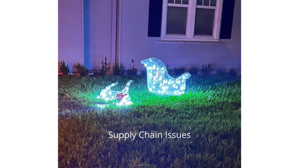 Shelly Hamill (@shellyhamill) on Twitter photo 