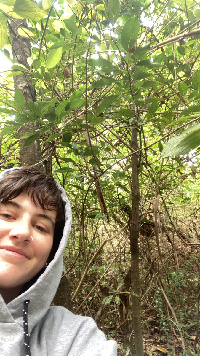 olive_ecology's tweet photo. chilling in the lantana with that 80% DEET repellent on. no ticks today, no sir! #ecology #invasivespecies #lantana #coveredinmud #fieldworkchronicles https://t.co/fmoe9uGAI2