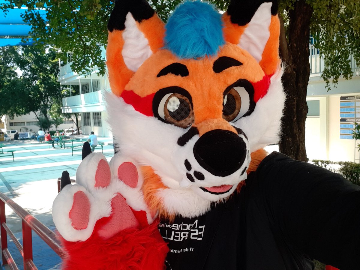 FerfoxPluff's tweet photo. Espero que tengan un hermoso fin de semana guap(@/e)s โจ
I'm just saying yip yip yip yip ๐ฆ๐พ =3
(Imagen reciclada iwi)
#FursuitFriday #Ferfox #Fursuitingโค https://t.co/NuWA2S4ENj