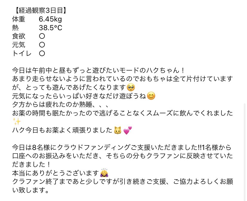 0527_haku's tweet photo. 経過観察3日目🍀

クラウドファンディング残り5日
⚠️目標金額を達成しないと支援金を受け取ることができません⚠️
どうかご支援、ご協力宜しくお願い致します🙏

#fip #猫伝染性腹膜炎 #猫好きさんと繋がりたい #猫  #猫のいる幸せ　#猫のいる暮らし　#クラウドファンディング　#拡散希望 https://t.co/TFcTln84AV