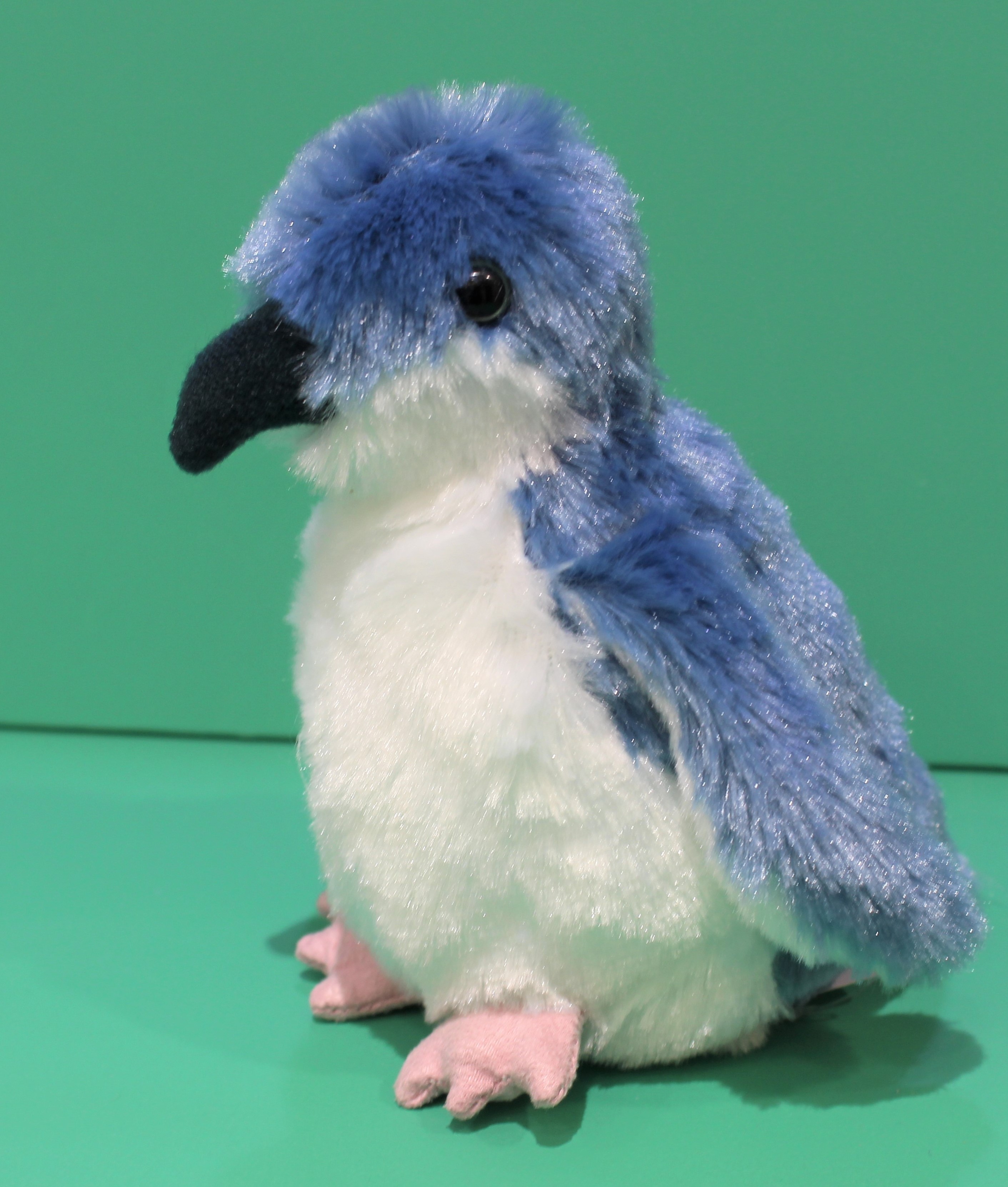 葛西臨海水族園［公式］ on X: 