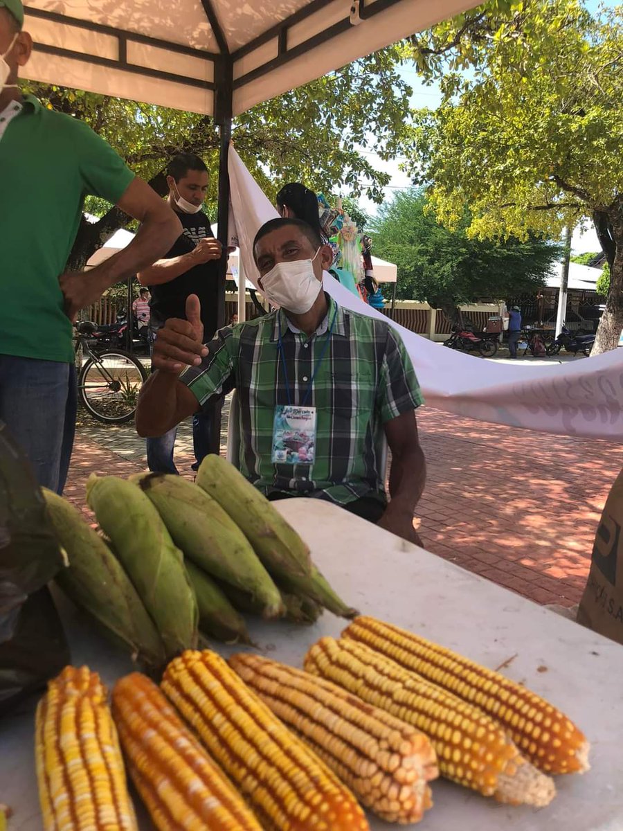 Alchimichagua's tweet photo. #MercadoCampesino | Los productores y emprendedores están listos para atenderlos.

Estamos impulsando la reactivación de nuestra economía. 

¡Apoyemos lo nuestro!

#AlcaldiaDeChimichagua #Productores #Economía #ChimichaguaProductiva https://t.co/RVEgi2P77V