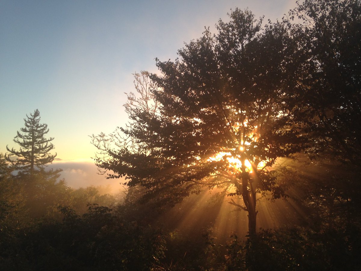Popped up in my history, this was 7 years ago, a great morning and #sunrise at #icewatersprings in #thegreatsmokymountains #nationalpark #optoutside