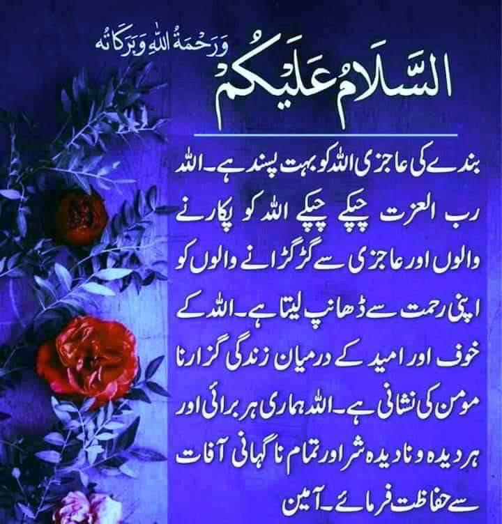 Assalamualaikum good morning aadab and suprbhat dear friends have a great weekend.🌷💐🏵️🌺
