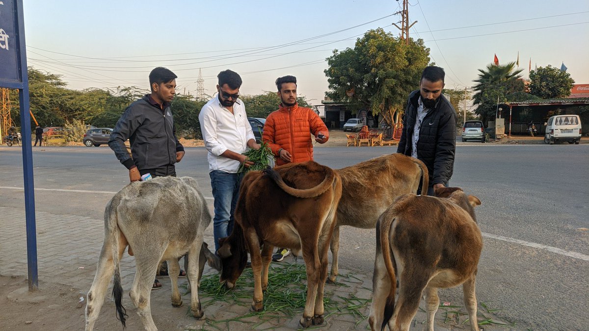 KekriOfficial's tweet photo. NSUI के प्रदेशाध्यक्ष बड़े भाई अभिषेक चौधरी जी का जन्मदिवस आज अजमेर NSUI ने सेवा दिवस के रूप में मनाया जन्मदिवस ब्लड डोनाशन कैम्प, गायों को चारा और गरीबों को फल किये वितरित,साथ ही सर्दी को देखते हुए खानाबदोशों को बांटे कंबल। @withabhinsui @NSUIRajasthan @AbdulFarhanNSUI https://t.co/qQsqHCwadQ