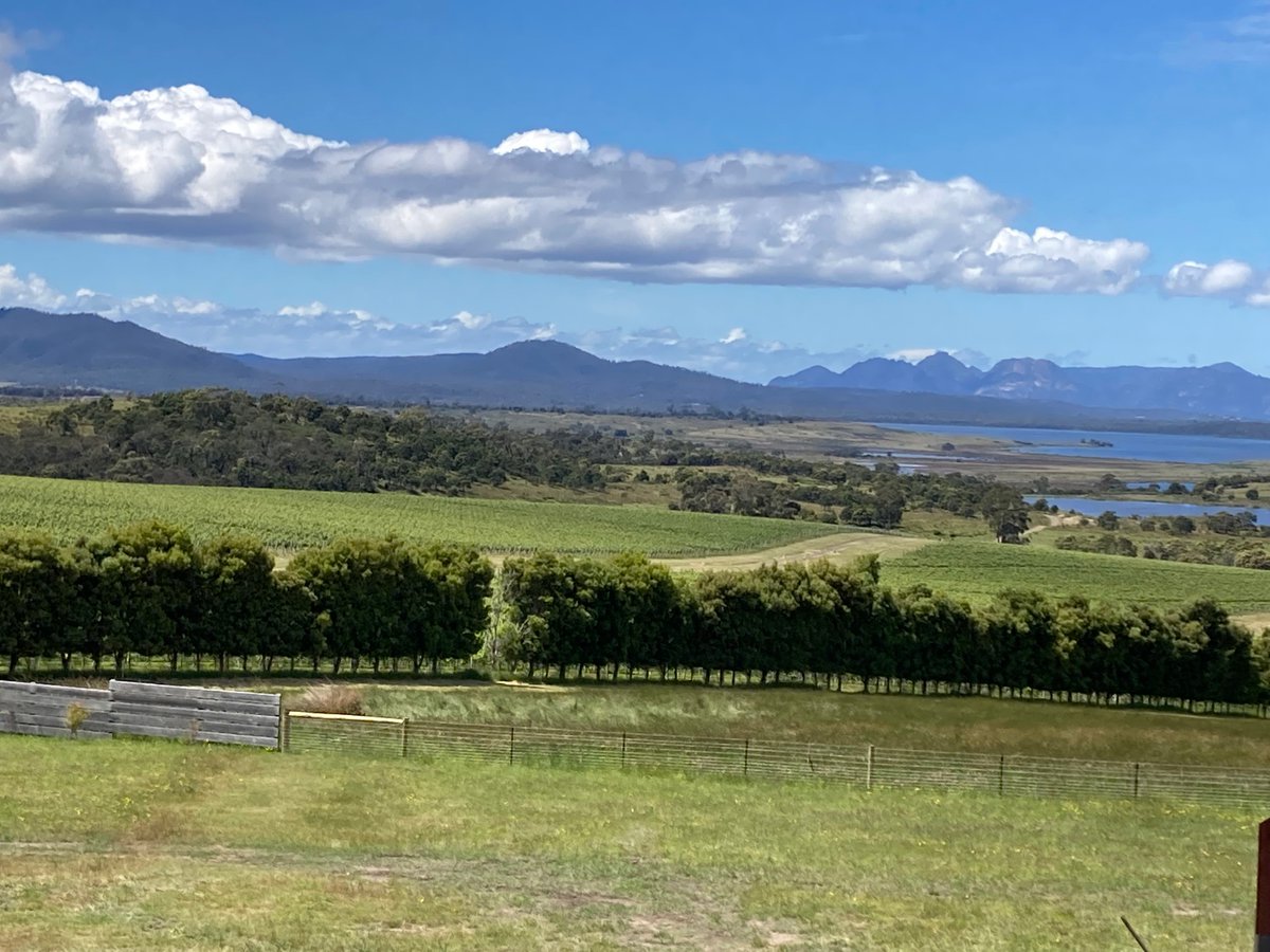 winsordobbin's tweet photo. A devil of a time wining and dining at Tasmania's newest cellar door. #DevilsCorner @WineTasmania @Tasmania @BrandTasmania @EatDrinkTas @AFFWine #wine #food @EastCoastTassie https://t.co/vaIlqX00SY https://t.co/DKoejyCAIB