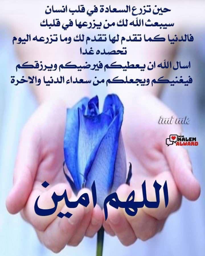 Aqeel Abdulqader tweet media