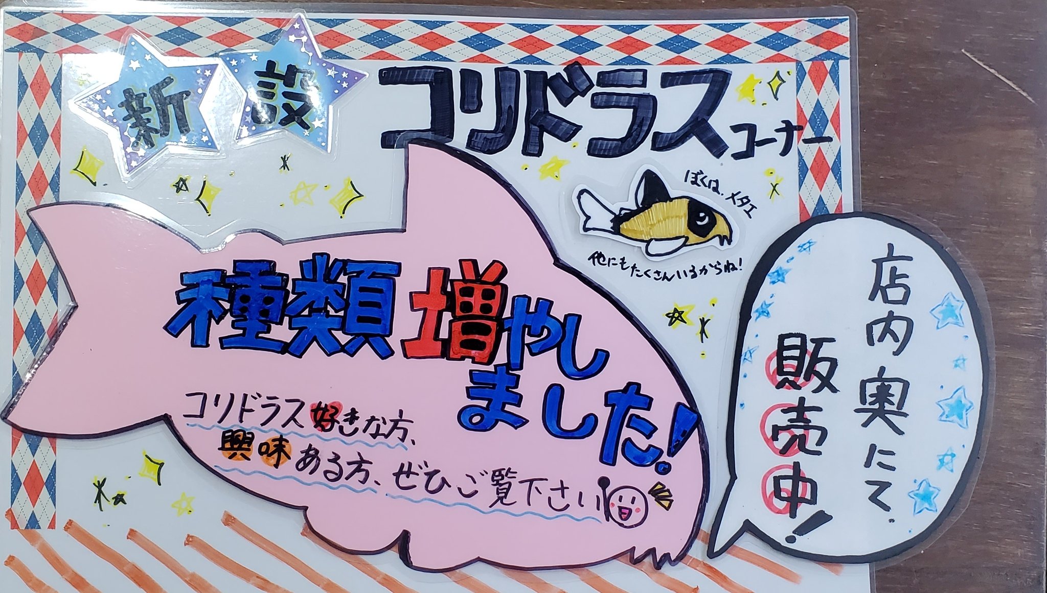 ヒロセペット谷津本店 アクアショップ コリドラス 熱帯魚 ヒロセペット谷津 T Co Kka2z5qpdy Twitter