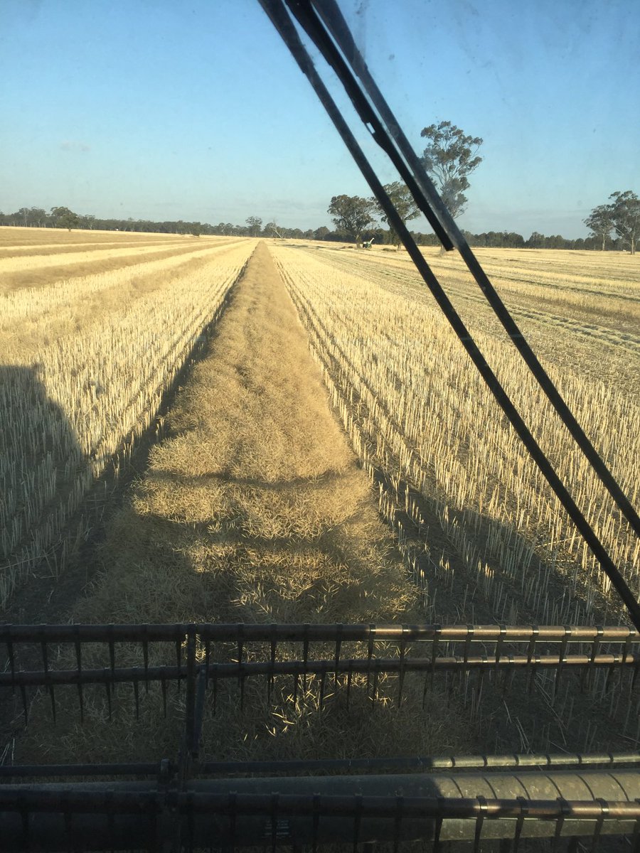 Surfanturf (@surfanturf1) on Twitter photo 