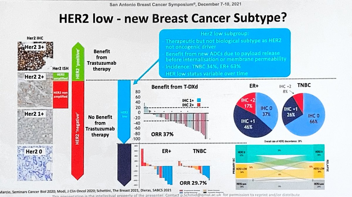 Stephanie Graff, MD, FACP, FASCO tweet media