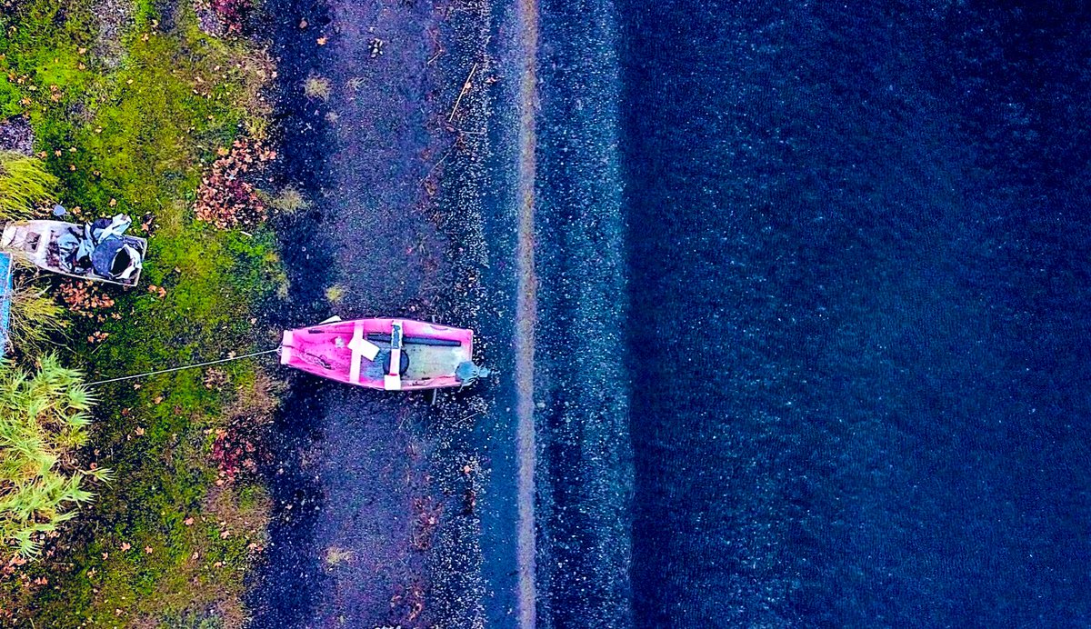 Martina Giudici tweet media