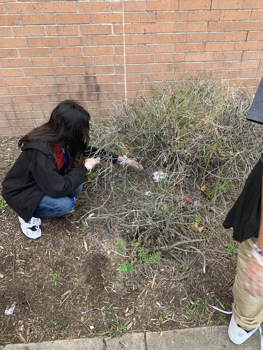 Miller_CIA's tweet photo. Miller CIA Agents cleaning our school grounds from all of the debris left behind by neighborhood kids!
The Miller CIA Program… a place where the world is our classroom!
#community_service
@HCDE_CASE @MillerMavsAISD @AliefISD_CIA @AliefISD @MillerIntLib https://t.co/cMncEvfe5G