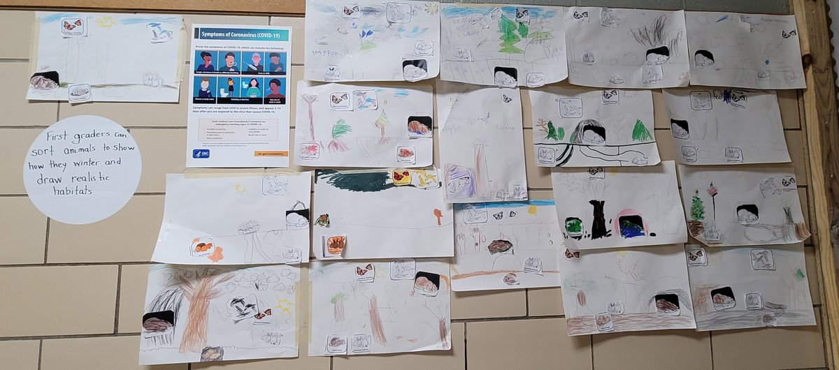 WatershedPCSlib's tweet photo. All three first grade classes showed their knowledge of how animals prepare for winter by drawing winter scenes and placing animals in them. @WatershedPCS @MrsMejibovsky @lori_widney Thanks @AnnieAndMoby for helping learn about #hibernators https://t.co/E67b2J6Nom