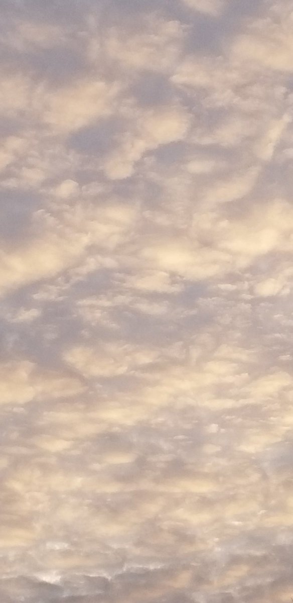 Friday. December. Afternoon. New England.
