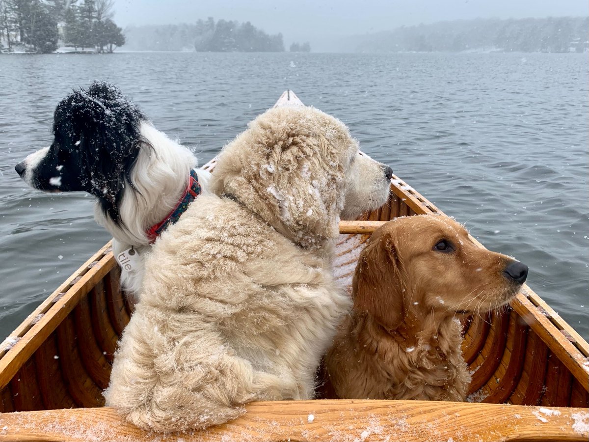 Happy Friday! Here is an adorable photo of our pal James' pups on a Bill Mason Paddle trip. What a great way to end the workweek.