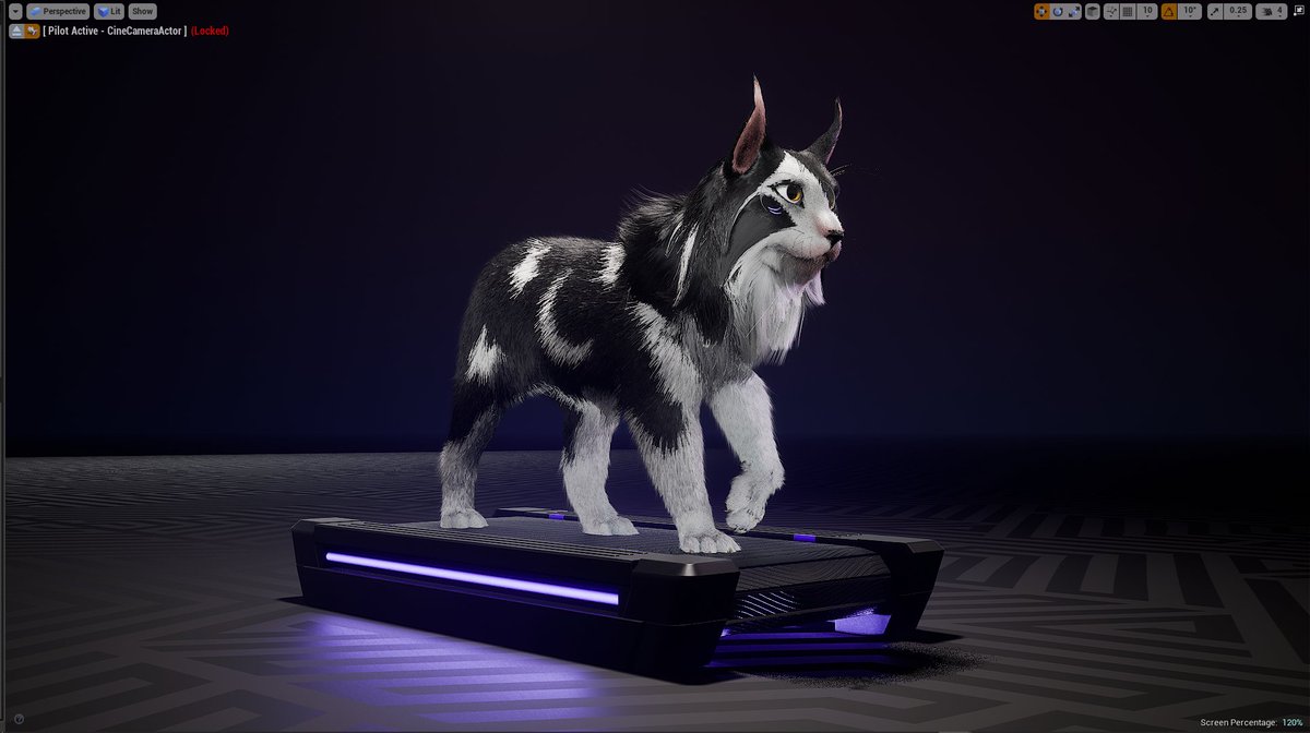real_n3o's tweet photo. Kitty on a treadmill. MEOW. https://t.co/ZfRKzxEMgW