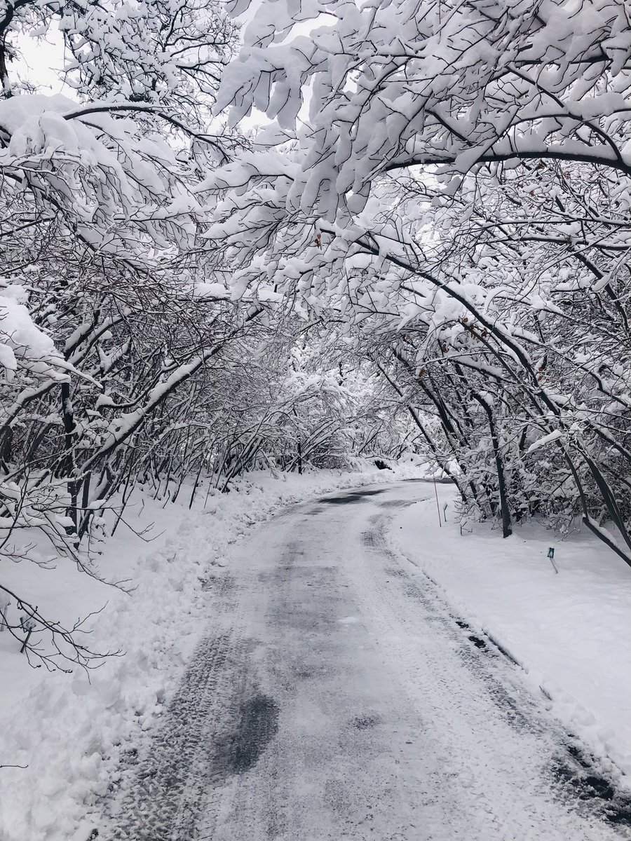 Utah SPARC tweet media