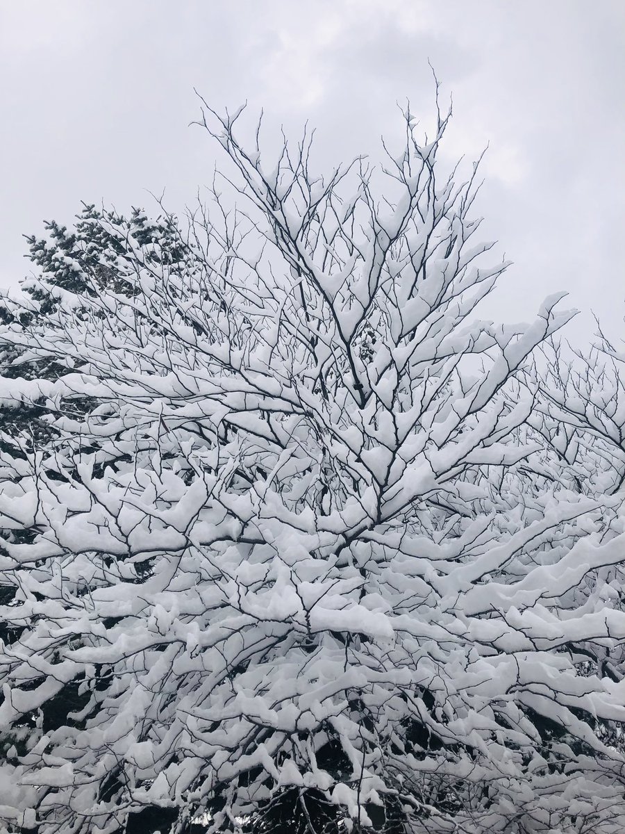 Utah SPARC tweet media