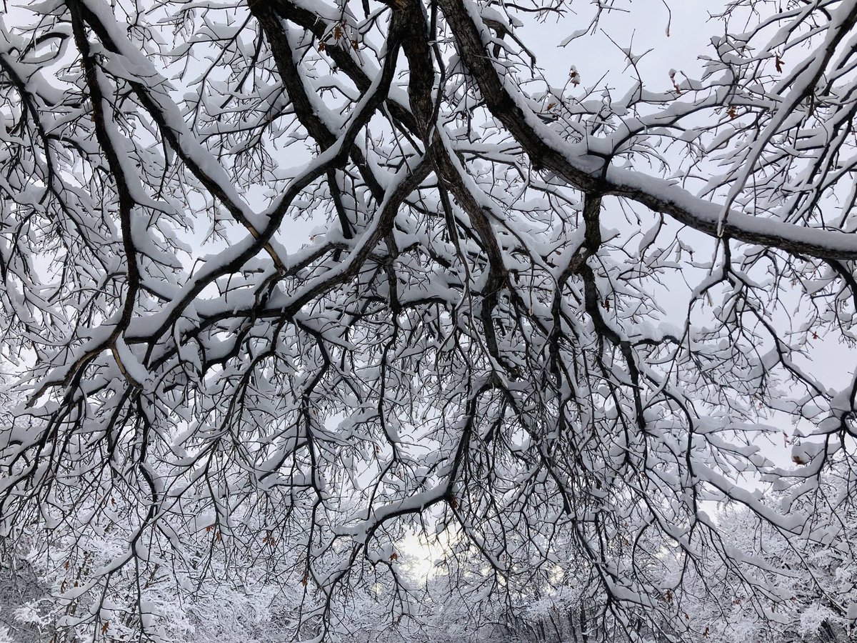 Utah SPARC tweet media