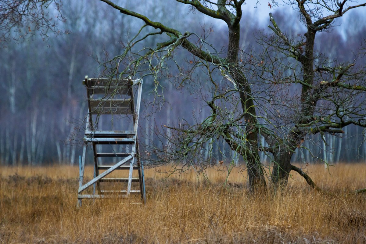 Frage: Findet 2021/22 wieder eine unangekündigte aber Event-mäßig geplante Jagd im Naturschutzgebiet Großes Torfmoor statt? Letztes Jahr wurde sie von den Verantwortlichen, wie vieles anderes, weder öffentlich angekündigt noch erklärt. 🤨