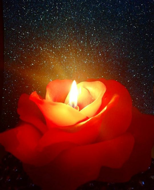 Alirose260417's tweet photo. "If you have a lit candle, you never have to be an unlit candle, ever.
Ever. Ever. Ever.
But find the lit candle within you."
- Prem Rawat
#Reflexiontime #LeoEscuchate #HearYourselfBook https://t.co/a0UYPv2NES