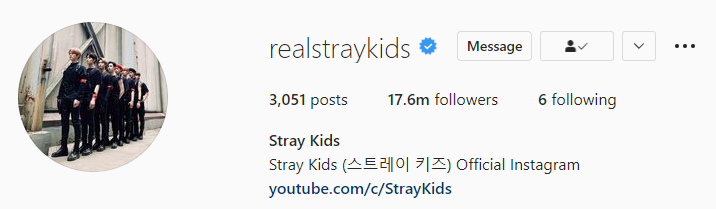 skzchartdata's tweet photo. .@Stray_Kids has now surpassed 17,600,000 (17.6m) followers on Instagram! 

#StrayKids #스트레이키즈 
#MAMAVOTE #straykids https://t.co/jwed6STnMf