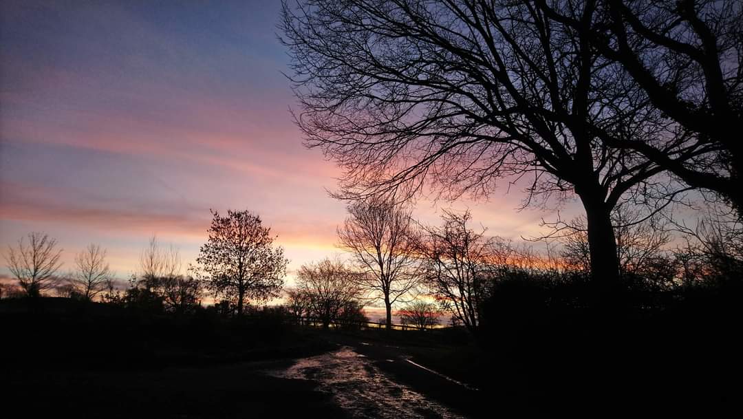TyCamlad's tweet photo. Sharing #dawn with you on #Day10 @TyCamlad The days are shorter, but we get to enjoy more beautiful skies at these extremes of the day. We hope we are helping to shed light into even the darkest corners this #Advent Thank you for accompanying us #midwales #wychelm #walnut #winter https://t.co/zvQdrGCKmq