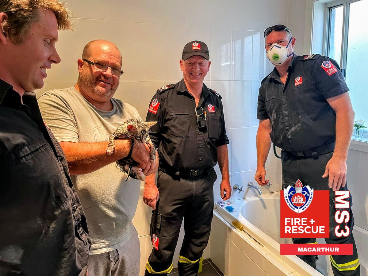 FRNSW_MS3's tweet photo. CAT RESCUE I #MountAnnan

8:32am Fire Rescue NSW Narellan was called to a cat trapped in a drain of a house on Mount Annan Drive

A kitten had fallen a floor drain and became stuck under a bath.

Fire fighters took near two hours to rescue the kitten. https://t.co/vTfEjw59hX
