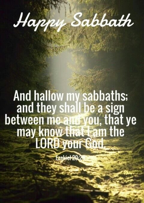 #HappySabbath The best part about #Sabbath is we get a break from all the negative energy of #WorldlyAffairs and Enjoy the #SpiritualRelationship and #Peace of The LORD! 

Take a #break and #relax!