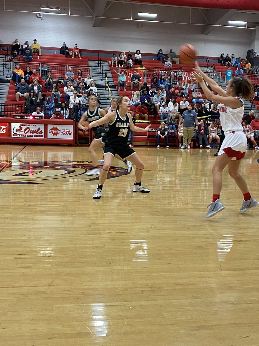 Steve Wills tweet media