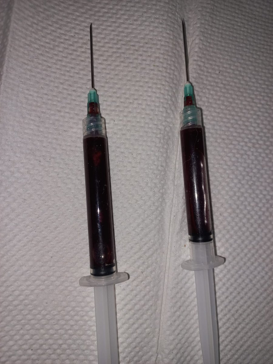 FundacionToby's tweet photo. (1)Berkeley necesita ayuda, estamos en una racha horrible, hoy dejó de comer, la llevamos al dr y tiene un tumor q le está reventando un órgano, no sabemos cuál por qué hay mucha sangre, vamos camino al hospital Lindavista VIP
NOS ESTAMOS ROMPIENDO EN PEDAZOS, TENEMOS MUCHO MIEDO https://t.co/15kvNyAYSD
