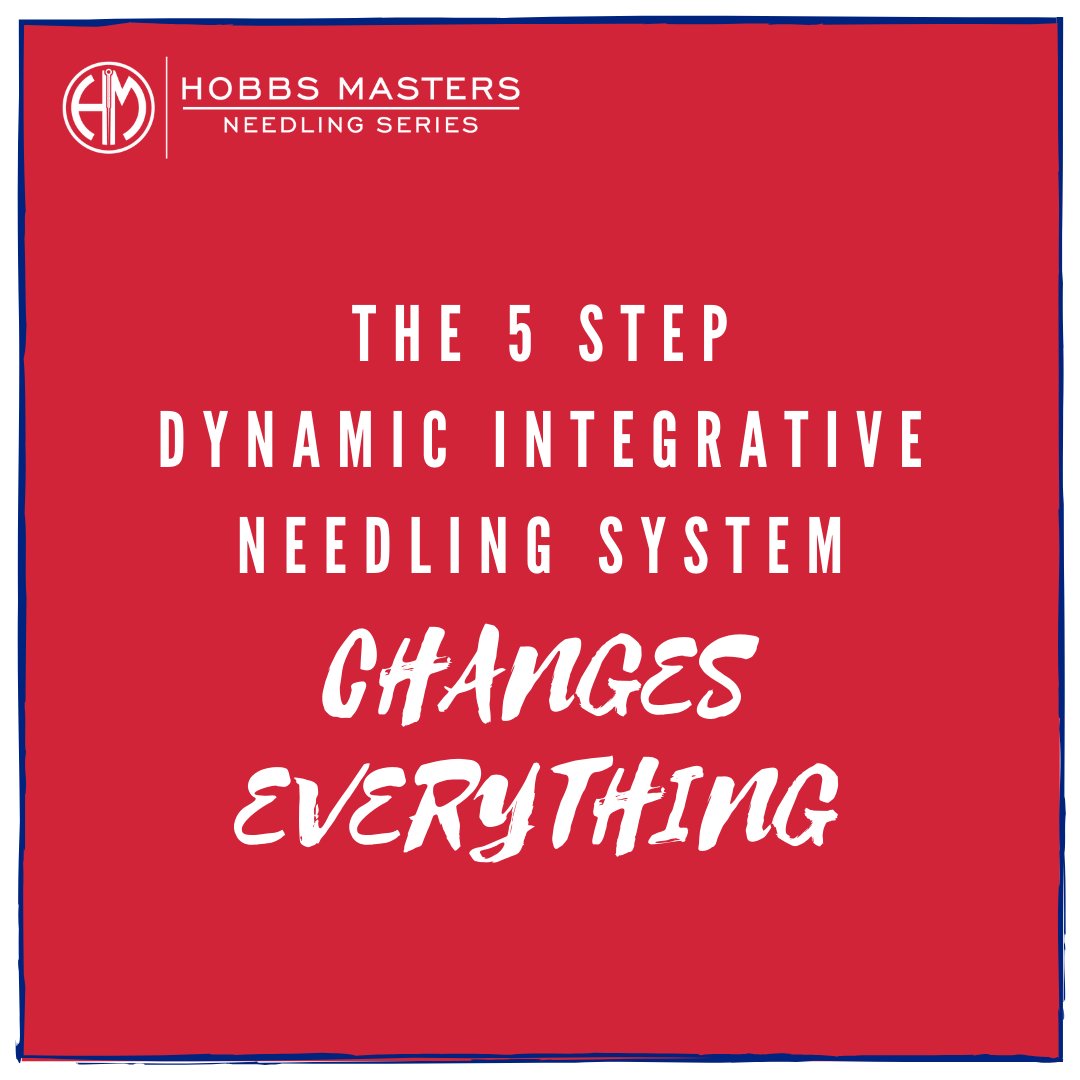 iM.IT Seminars tweet media